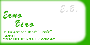 erno biro business card